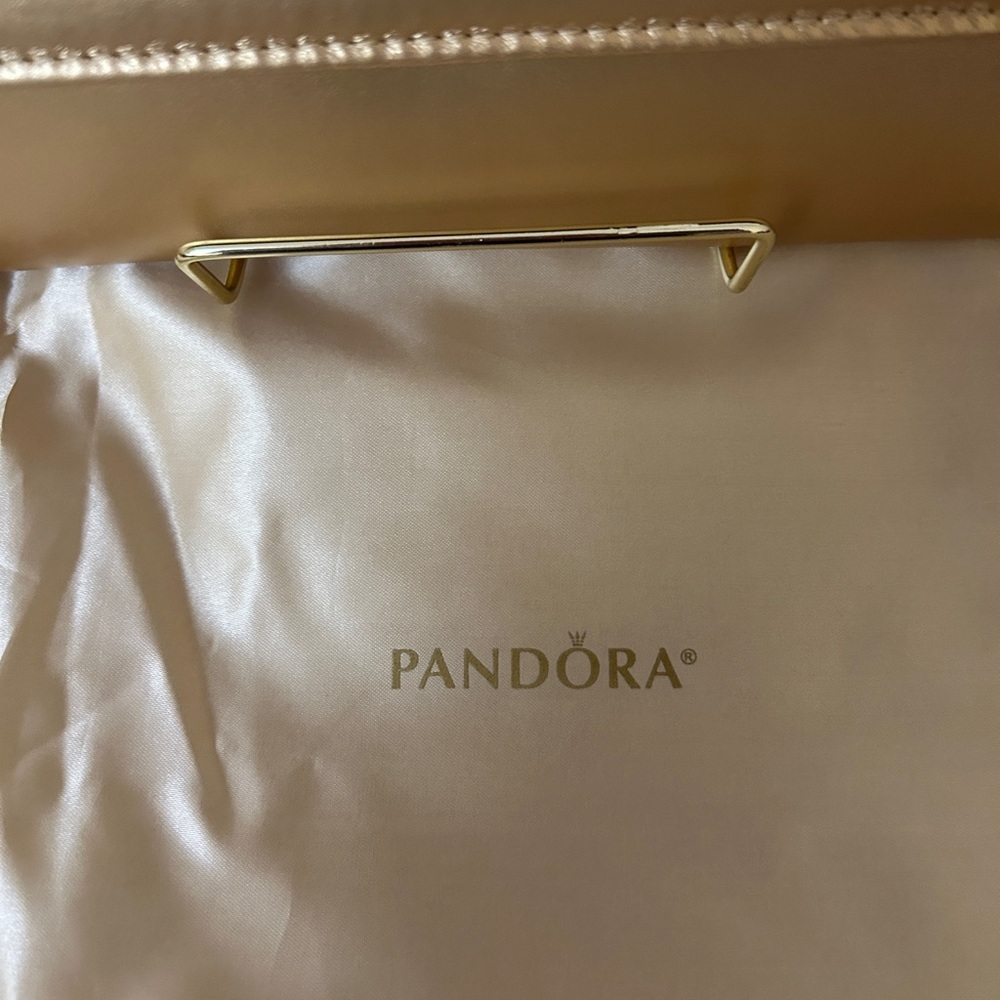 Pandora Shine Large Clutch - Picture 3 of 6